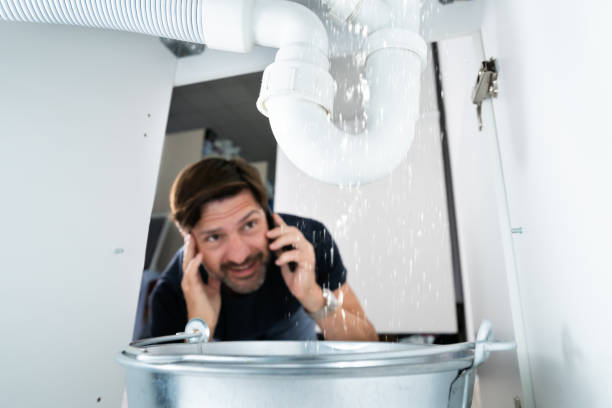 Best Same-Day Plumbing Service  in Tolono, IL