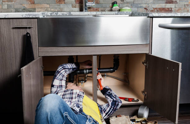Best Plumbing Inspection Services  in Tolono, IL