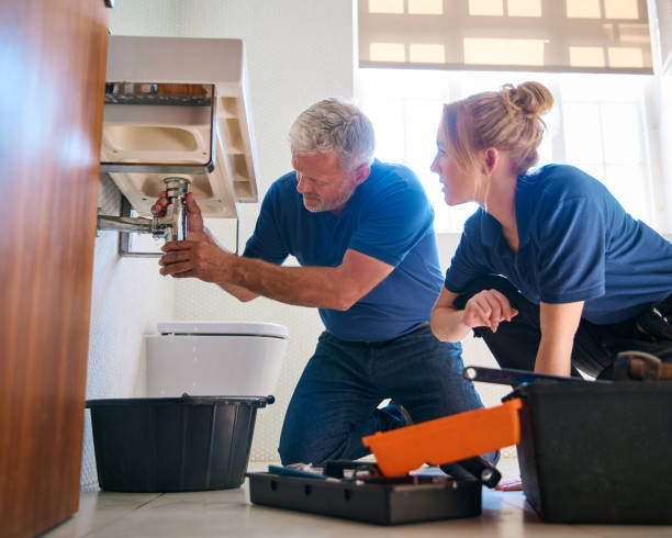 Best Plumbing Inspection Services  in Tolono, IL